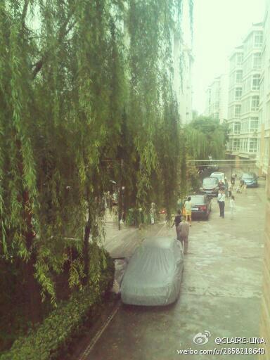 天水地震最新消息,灾难中的温情友情故事