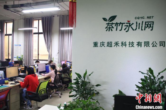 永川茶竹网最新招聘揭秘,小巷特色小店魅力探寻之旅