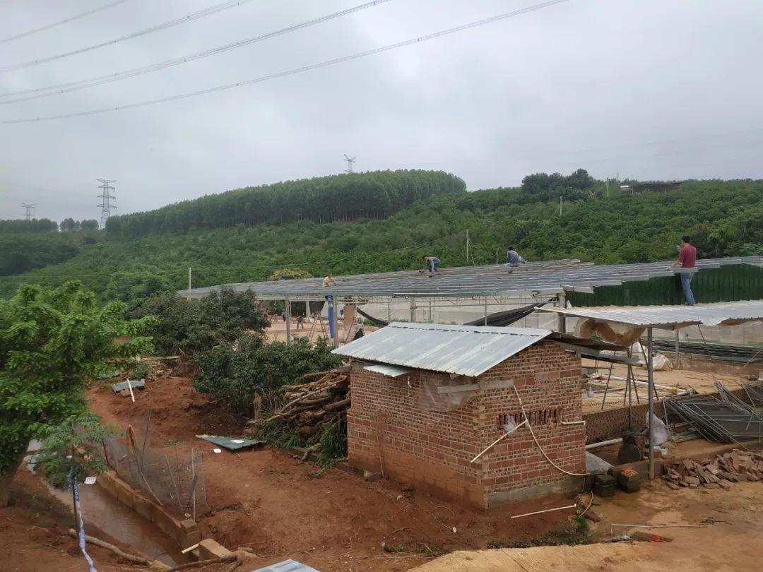 耕地建房最新政策法规与巷弄深处的特色小店探秘揭秘