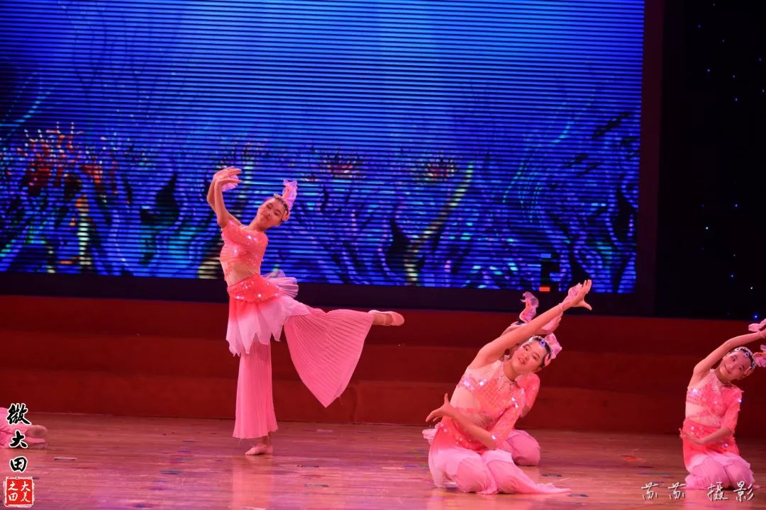 最新舞蹈比赛一等奖背后的荣耀故事与深远影响