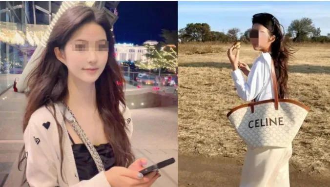 巴厘岛事件最新进展,一段温馨的日常故事更新揭秘