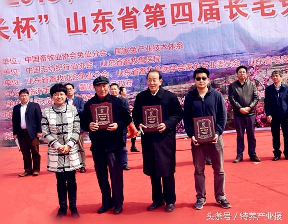 蒙阴兔毛最新价格揭秘,小巷深处的宝藏探秘