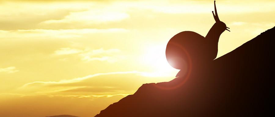 人工智能与就业变革交融,最新社会时评分析