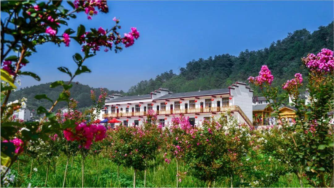 最美天气最新版详解及使用指南,适合初学者与进阶用户