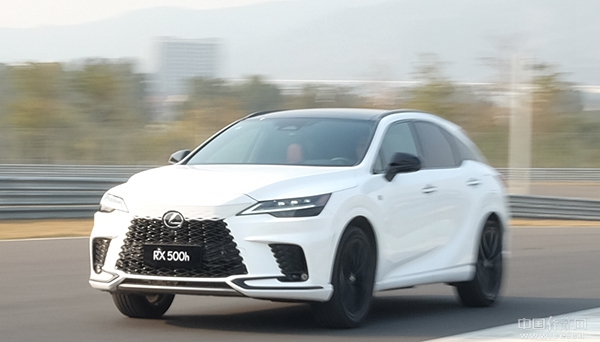 最新版提莫大揭秘,潮流先锋,魅力无限!