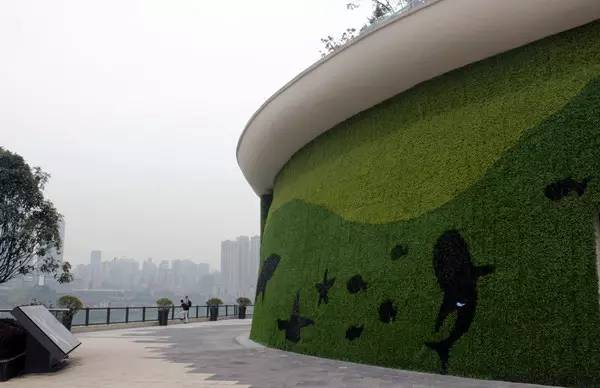 弹子石最新动态与相关论述揭秘