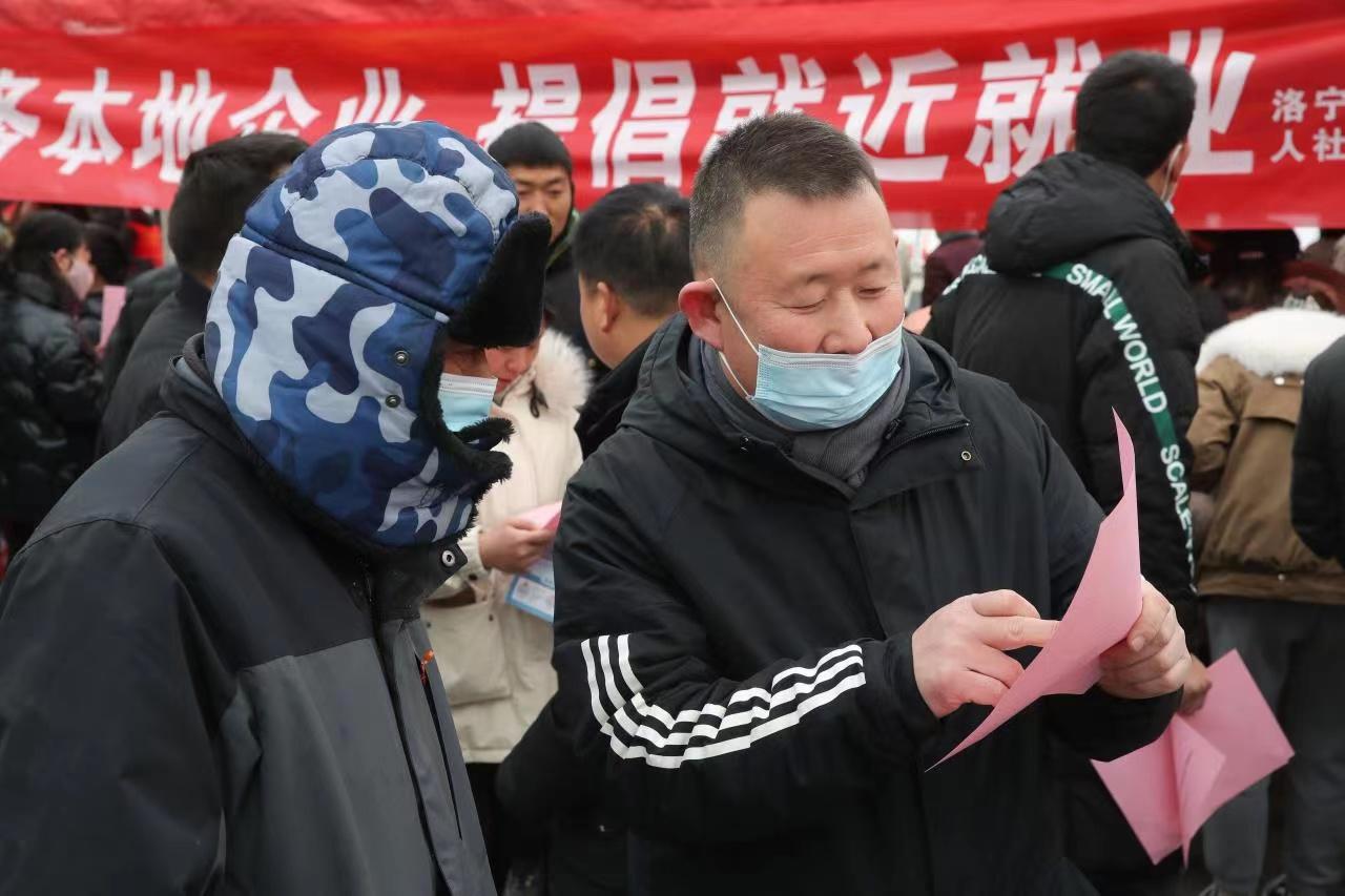 洛阳电工招聘最新消息更新!