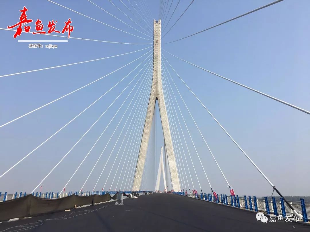 嘉鱼大桥最新动态与相关论述概述