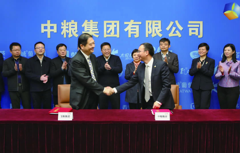 中粮集团领导名单更新,变革展现自信与成就之路
