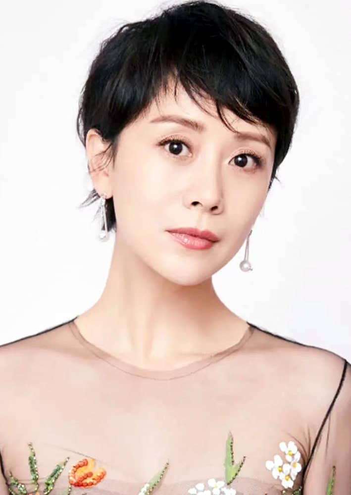 海清最新电视剧,亲情与友情的温馨日常故事