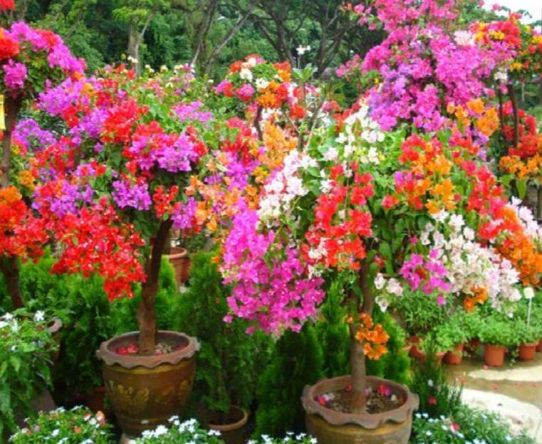 时代背景下的阅读革命,天天看手机版最新版应用盛行