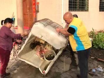 东兴市最新招聘信息全面概览