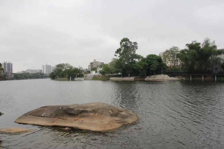 钦州公租房最新动态,共筑未来,点亮希望之光