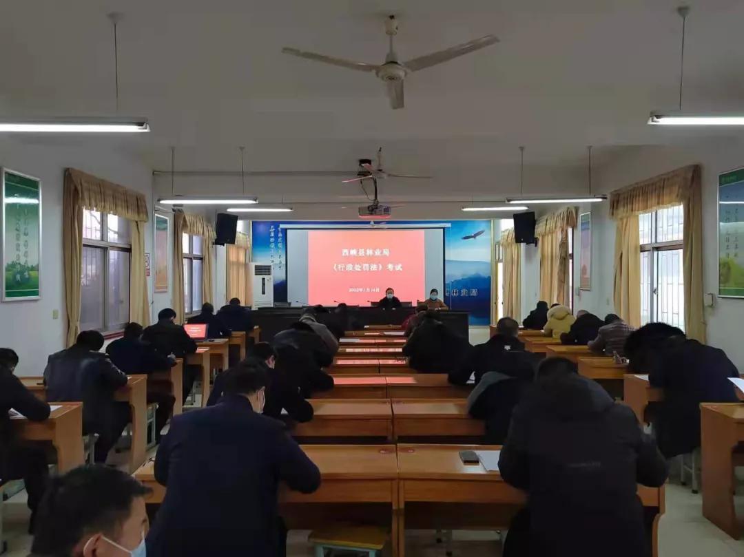 最新行政处罚法全文,学习步骤、指南及指南解读