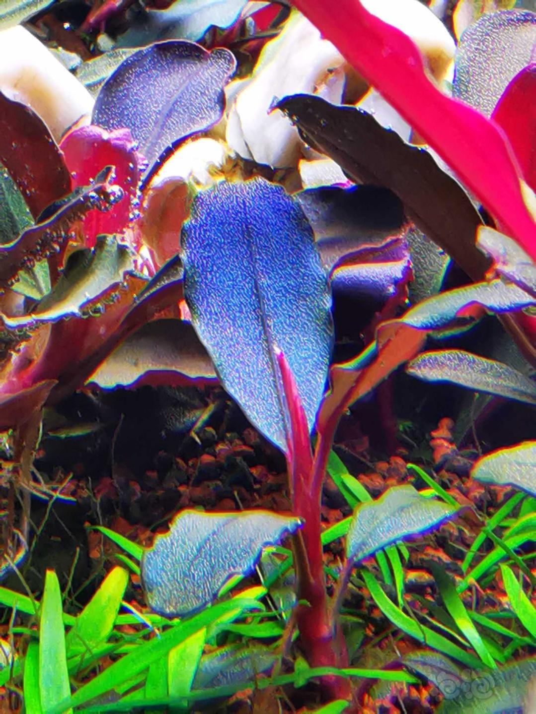 探索色彩魅力与变迁,奇色最新风采展示