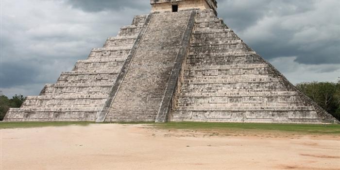 玛雅论坛最新动态,观点阐述与深度解析