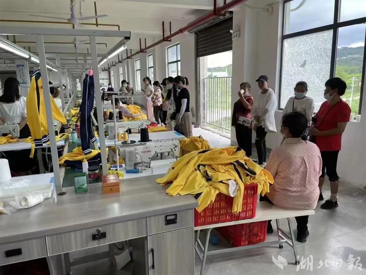 大悟在线最新招聘,友情、梦想与家的温馨交汇点