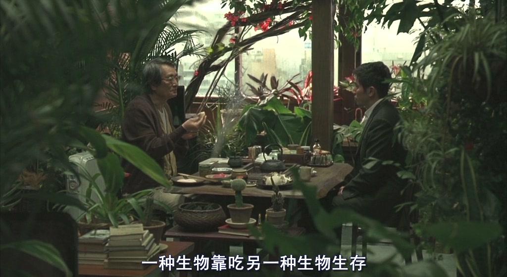 大悟在线最新招聘,友情、梦想与家的温馨交汇点