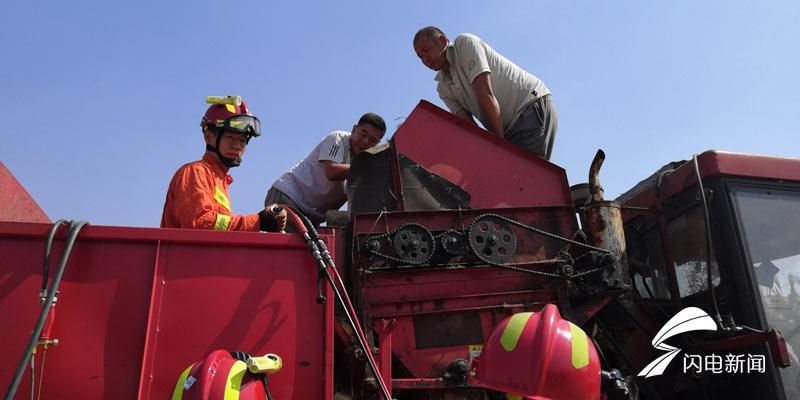 山东泰安玉米最新价格揭秘,温情故事背后的真实行情