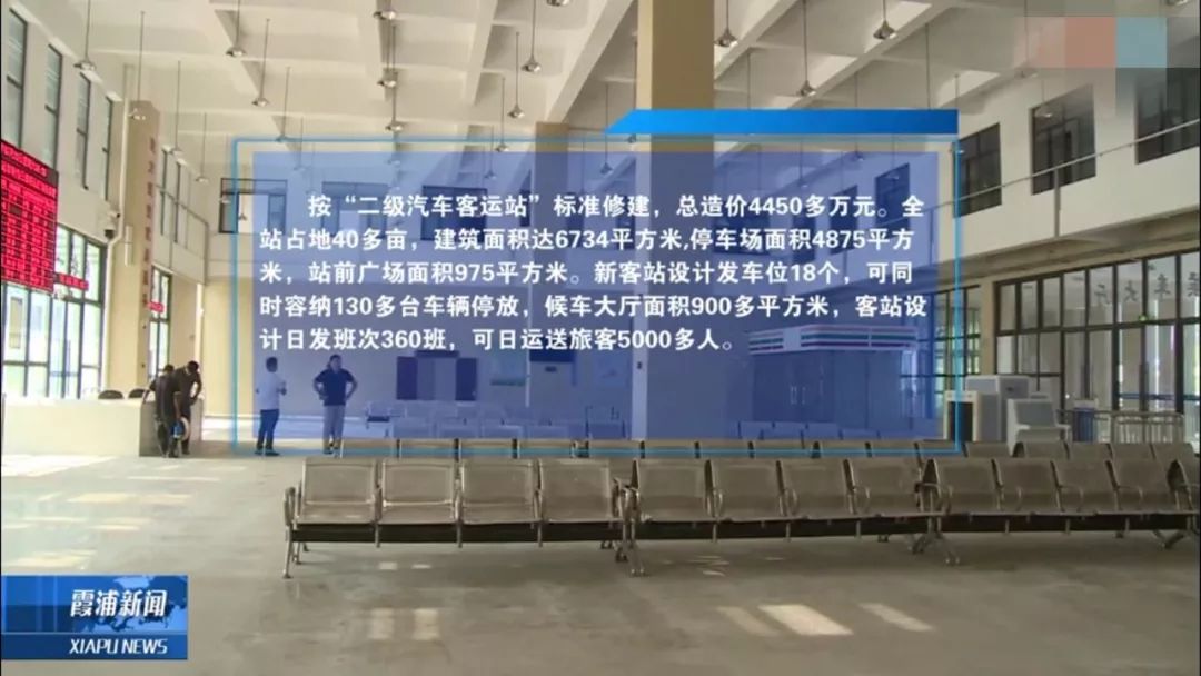 霞浦最新动态,观点阐述与分析