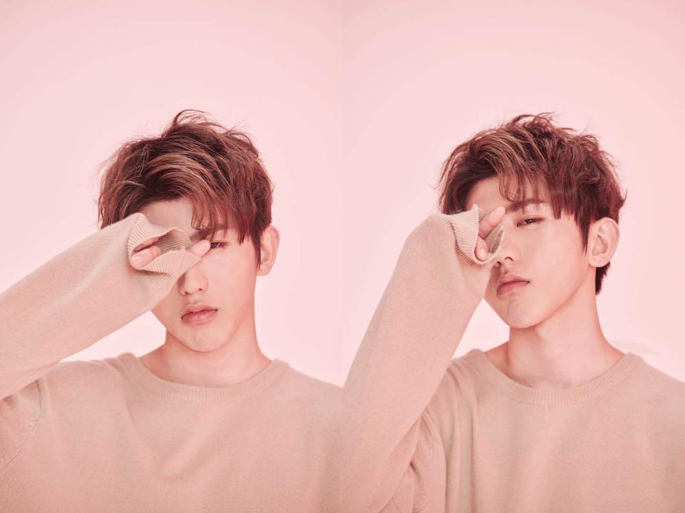 蔡徐坤最新消息速递