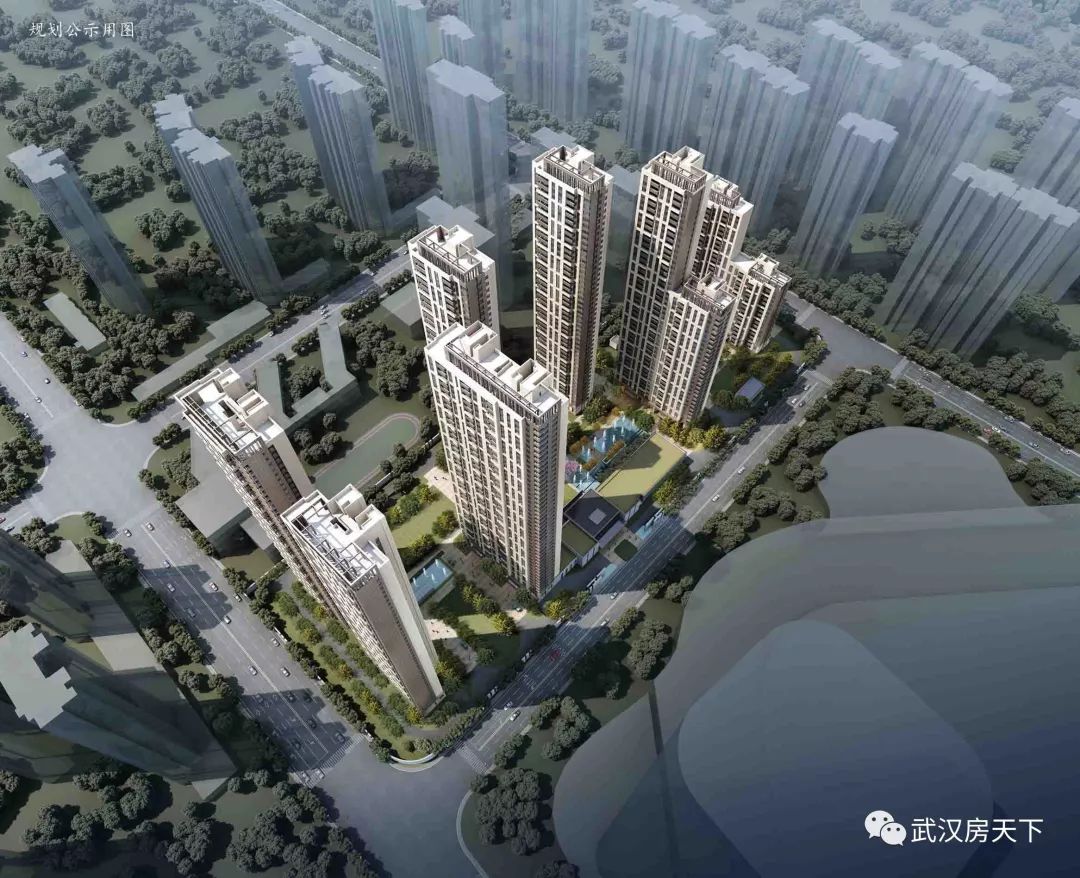 武汉后湖最新楼盘动态,变化中学习,自信塑造未来