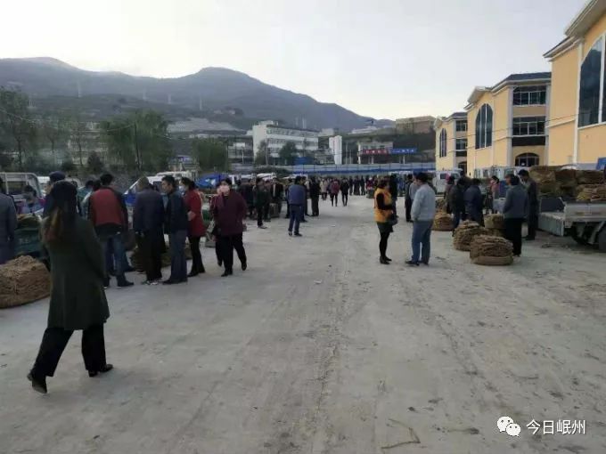 岷县吧科技新品震撼登场,开启未来生活新篇章