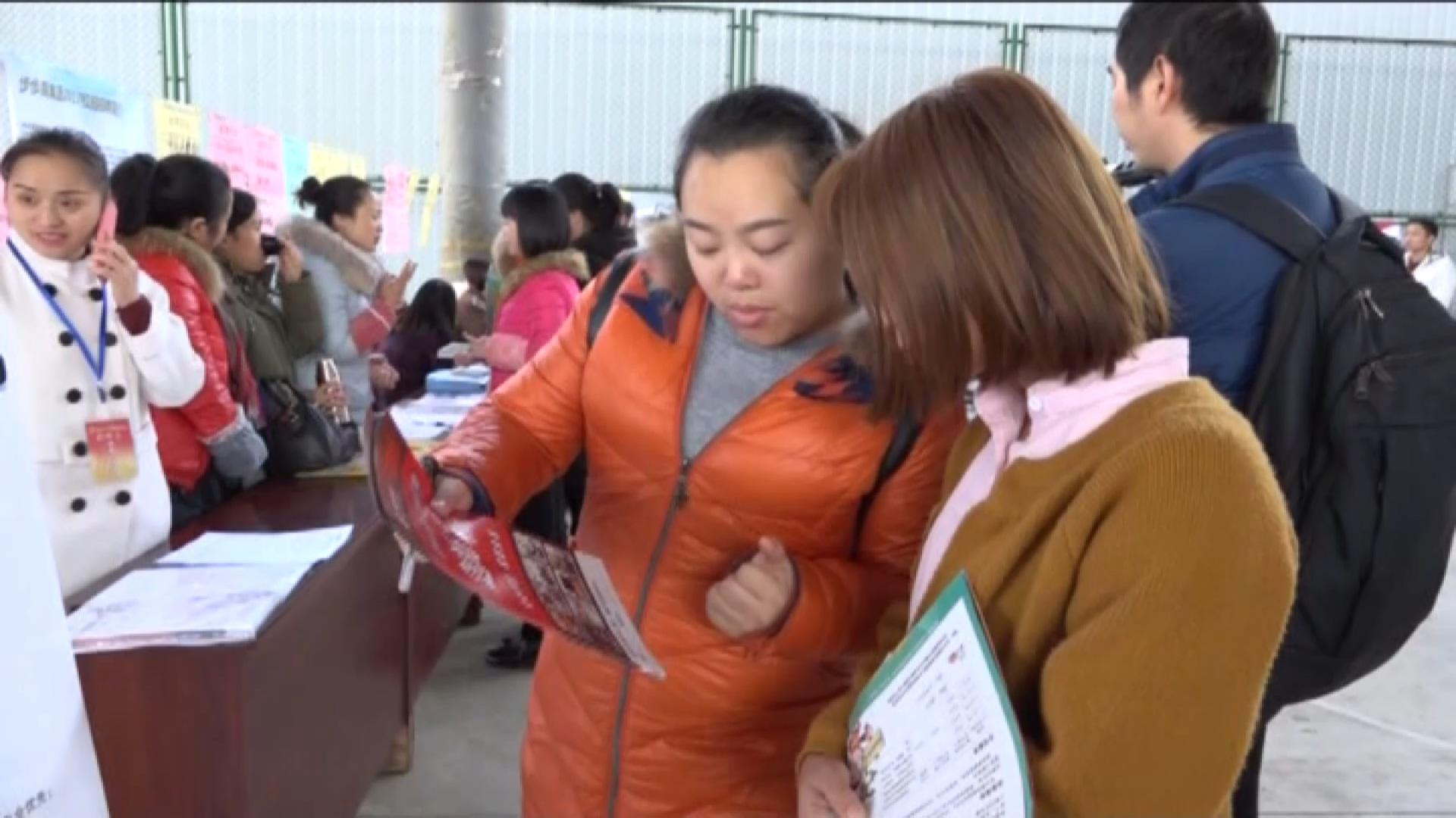 怀化鹤城区最新招聘情况解析与观点论述