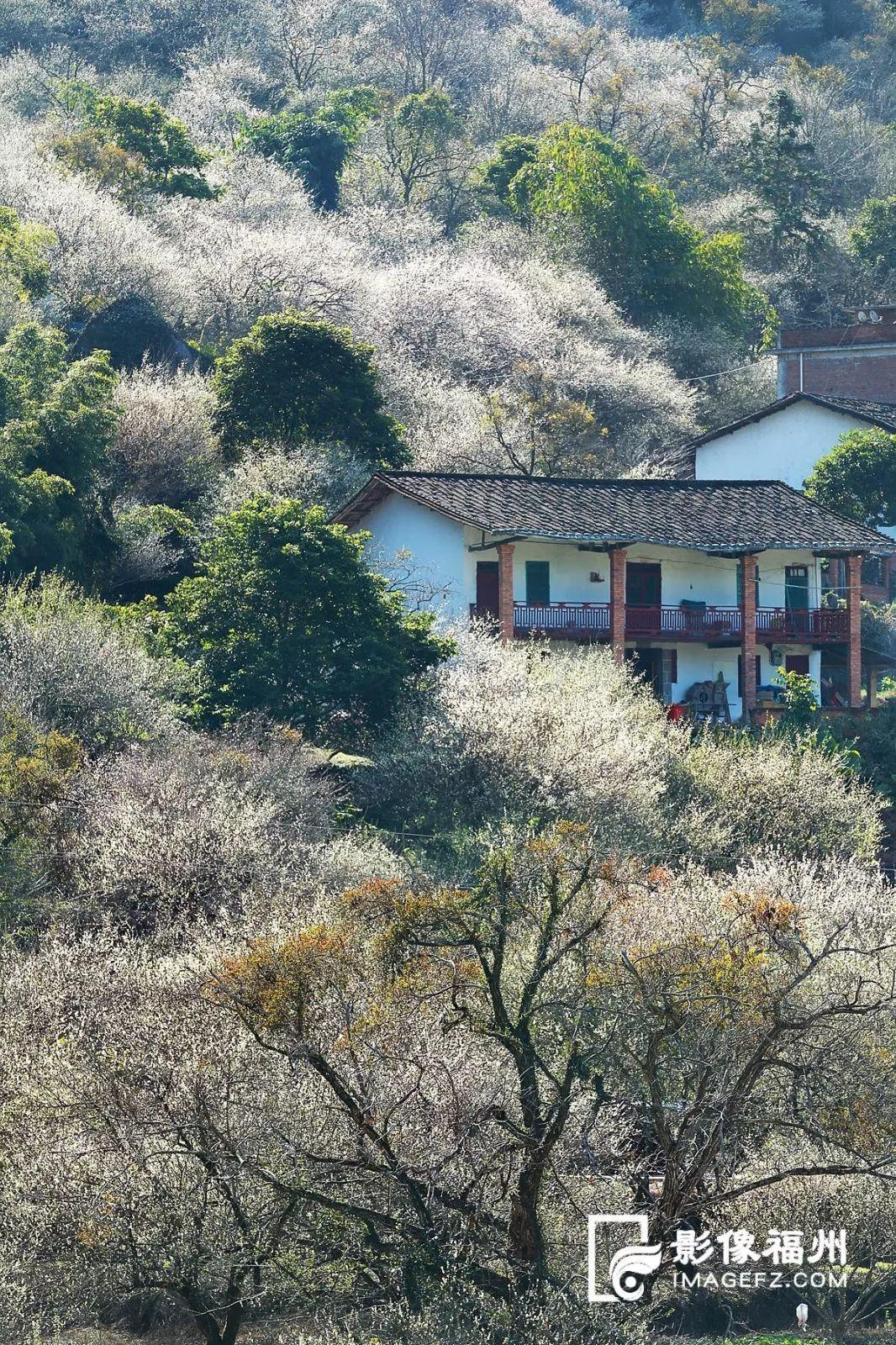 福州小升初最新政策,时代变迁下的教育革新之路