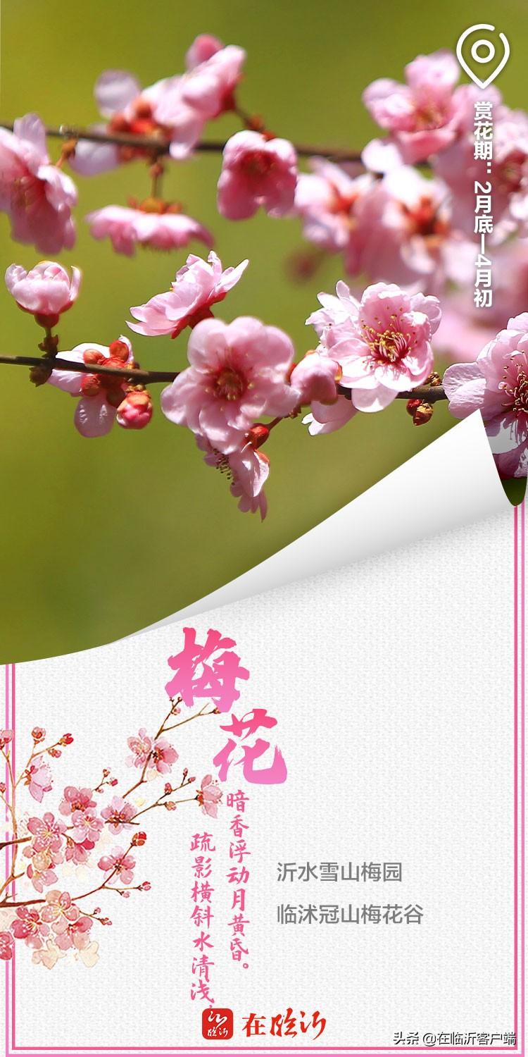 临沂市地图最新版,追溯城市历史脉络,探寻城市地位