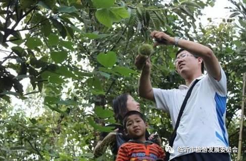 临沂市地图最新版,追溯城市历史脉络,探寻城市地位