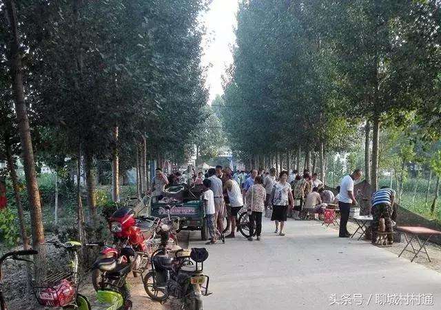 冠县贴吧最新动态及观点论述速递