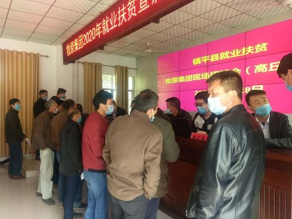 镇平最新招聘,求职全步骤指南详解