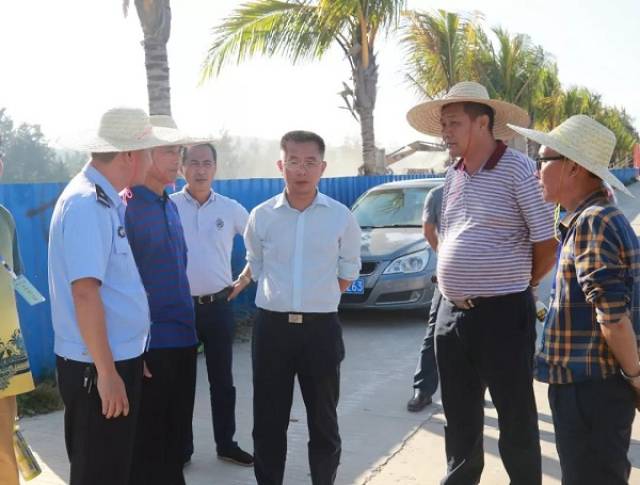 万宁市王德海的新动态,日常趣事、友情纽带与最新取向揭秘