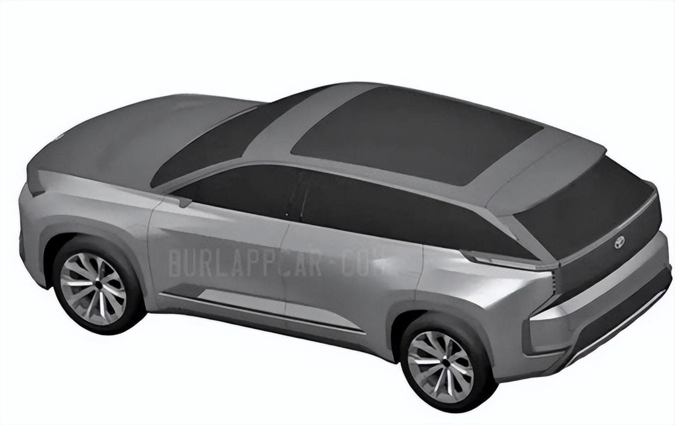 2025年极草5x最新消息揭秘,小巷中的草本秘境探索