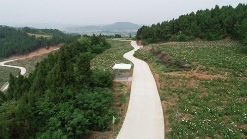 中江县最新城市规划图,描绘未来蓝图,激发自信与梦想憧憬