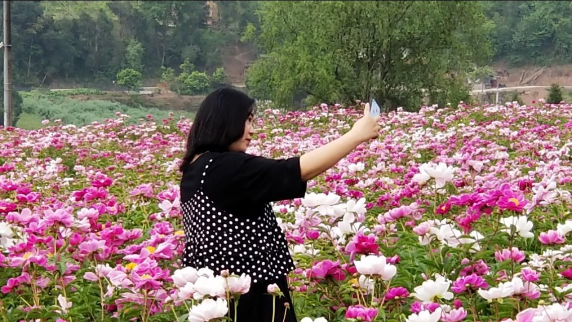 中江县最新城市规划图,描绘未来蓝图,激发自信与梦想憧憬