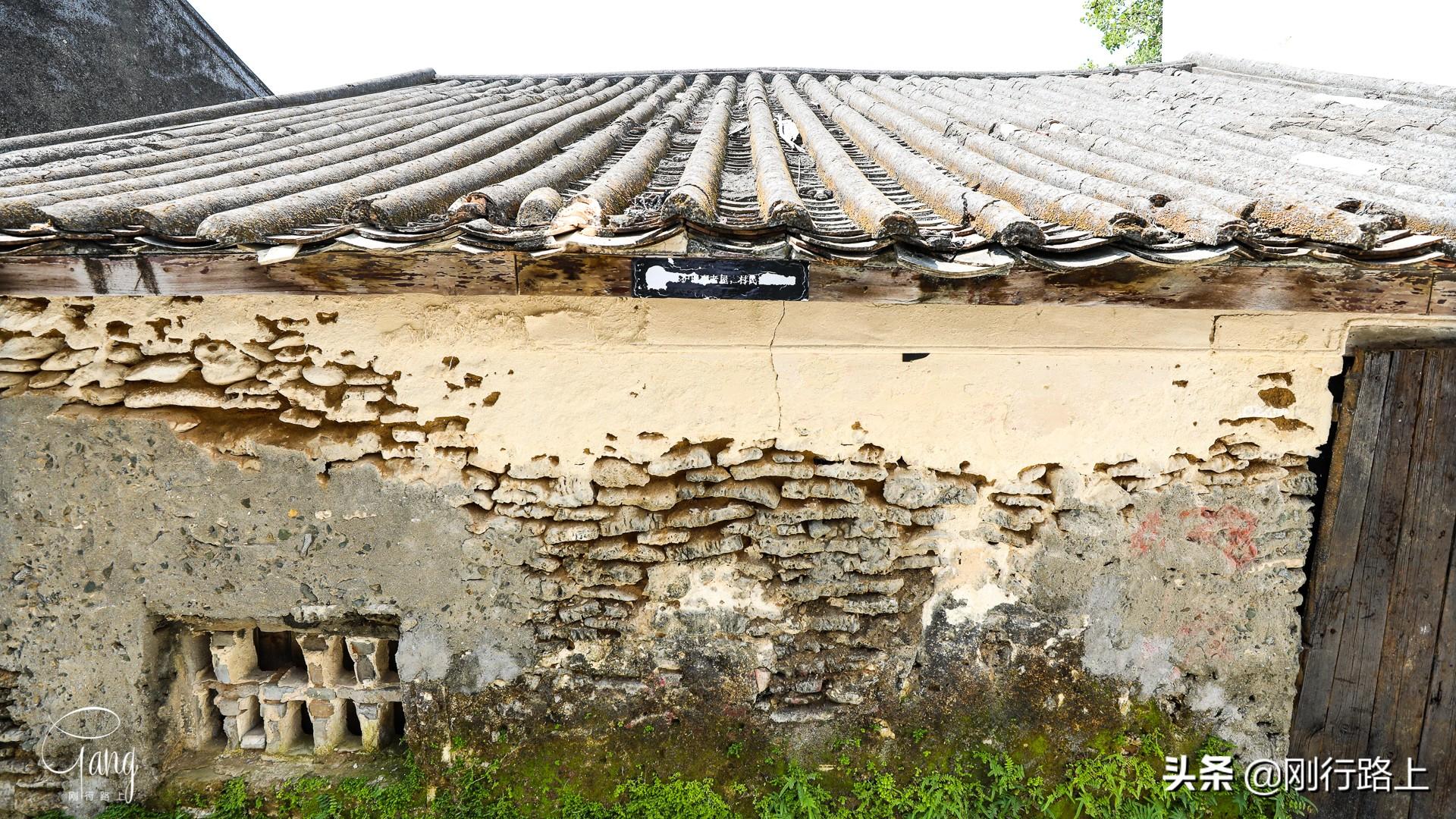三亚市人才市场最新招聘信息揭秘,小巷中的隐藏宝藏,求职者的必看指南