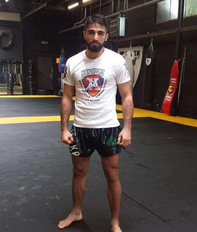 最新搏击深度解析,背景、重大事件与地位揭秘