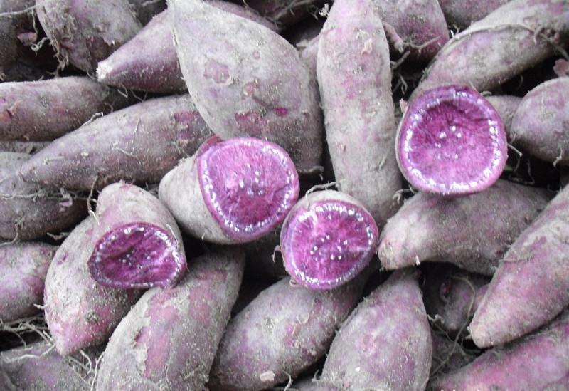 小巷深处的宝藏,最新抗衰老秘籍揭秘