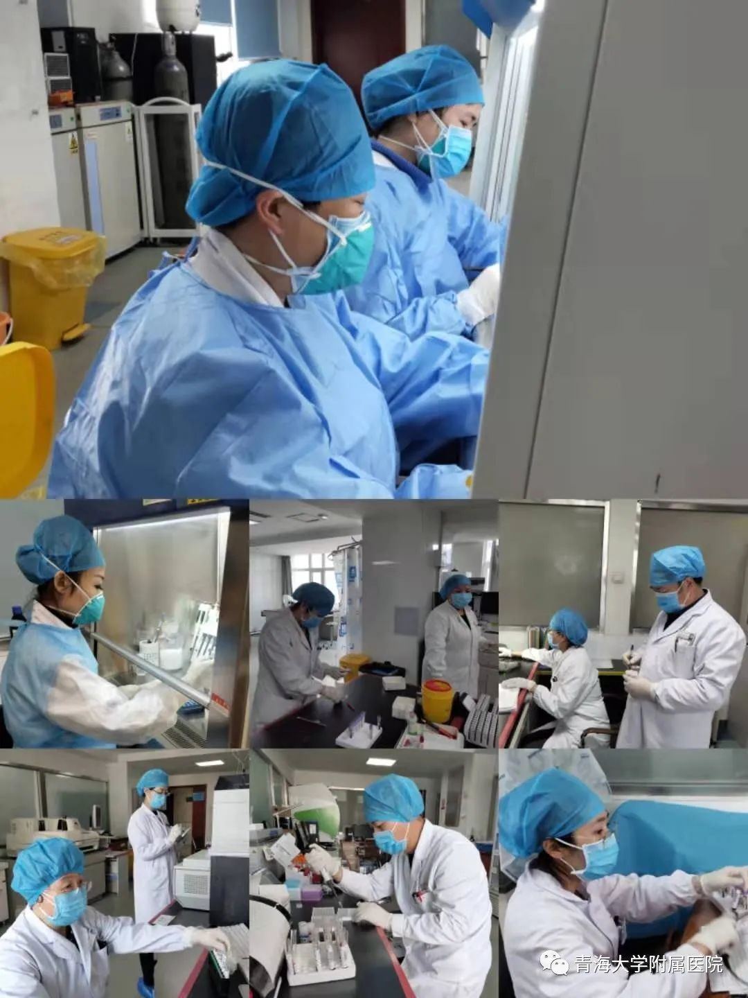 青海肺炎最新动态与论述
