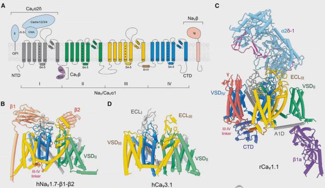 最新命名法,温馨有趣的日常故事