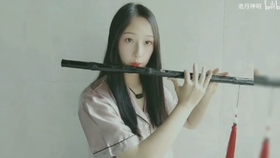 笛子最新曲,悠扬旋律缔结深厚友情纽带