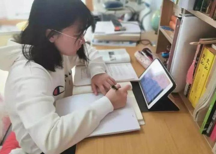 停课最新通知公告,课程暂停安排更新