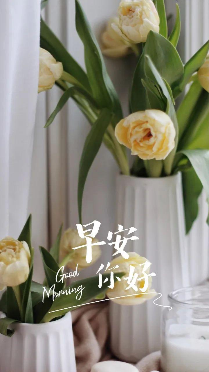 最新疫情应对指南,有效防护与应对挑战