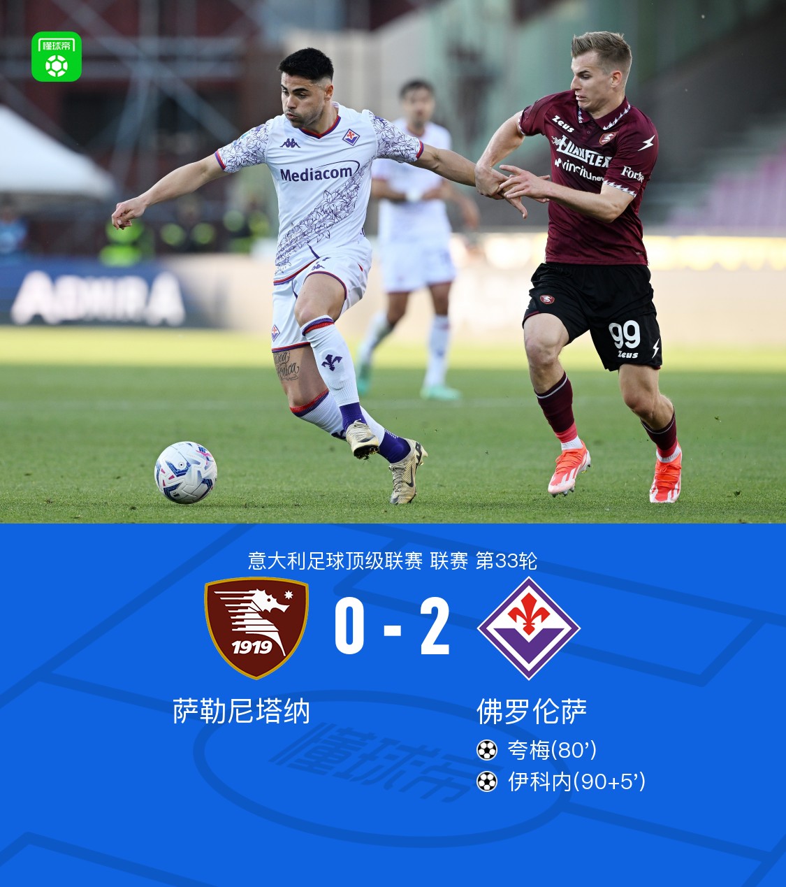 尼萨最新版深度解析与揭秘📚