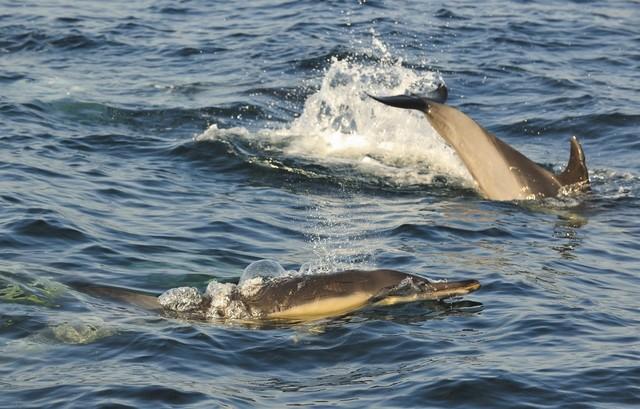 科技重塑电感,引领未来生活新潮的最新动态