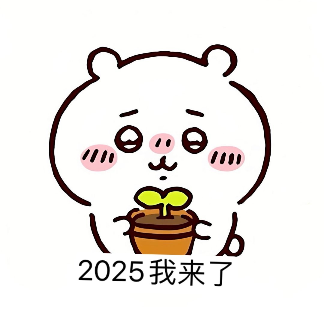 2025搞笑表情包,发展与影响深度解析