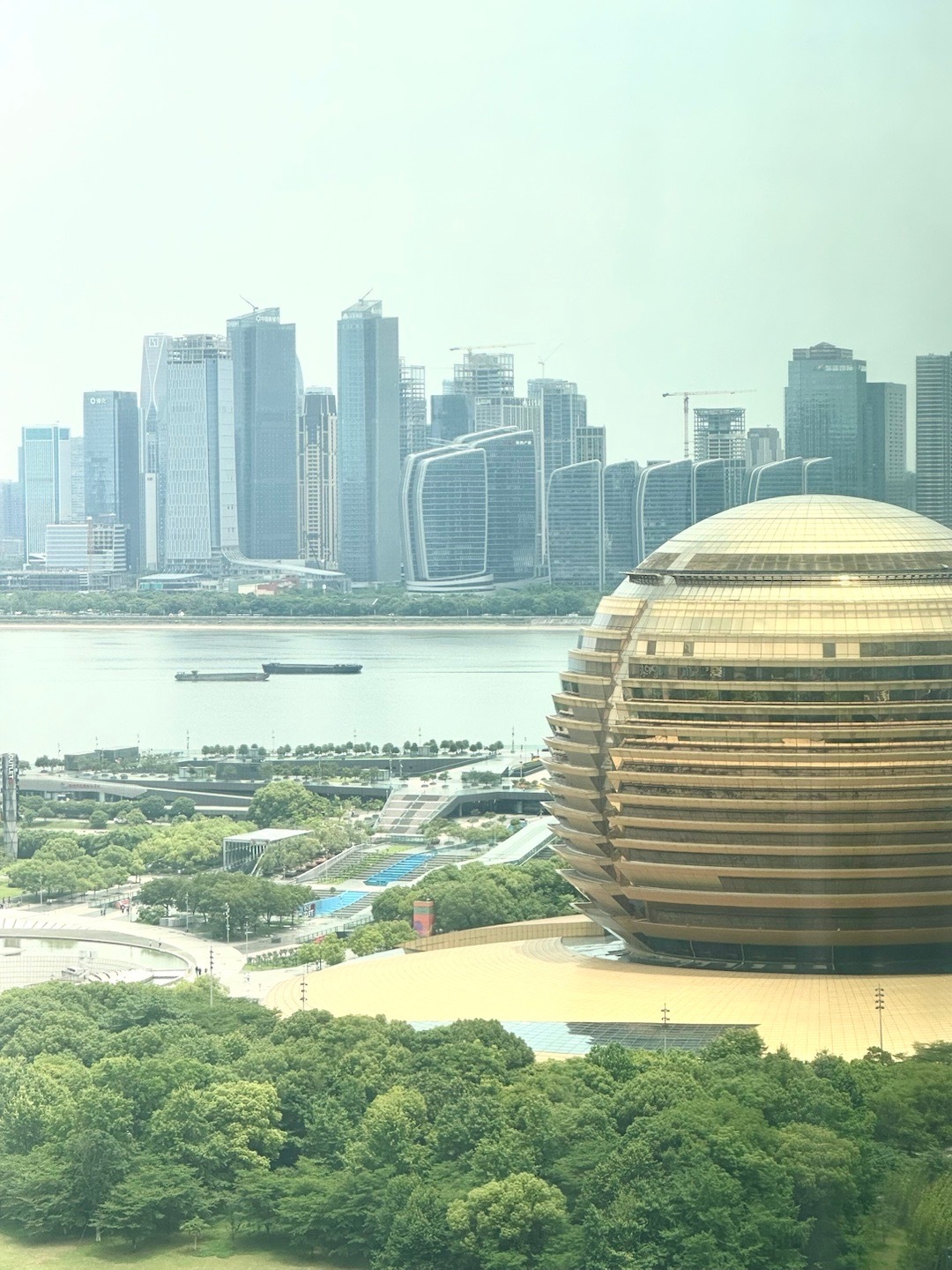 小杭最新情况详解,完成任务与学习技能的详细步骤指南