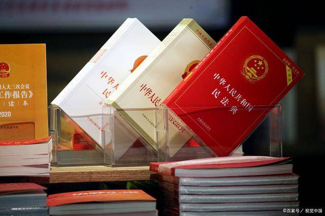 民典法律最新规定下的温馨日常解析与探讨